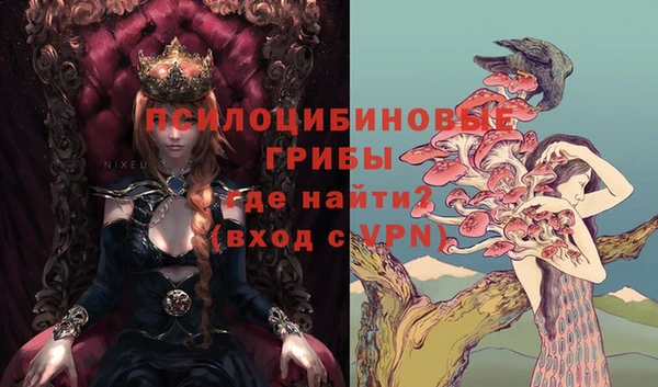СК Саяногорск